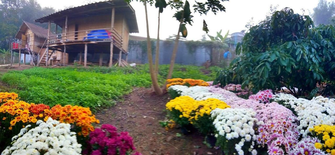 Baan Aingdoi Homestay, Chiang Dao Exterior foto